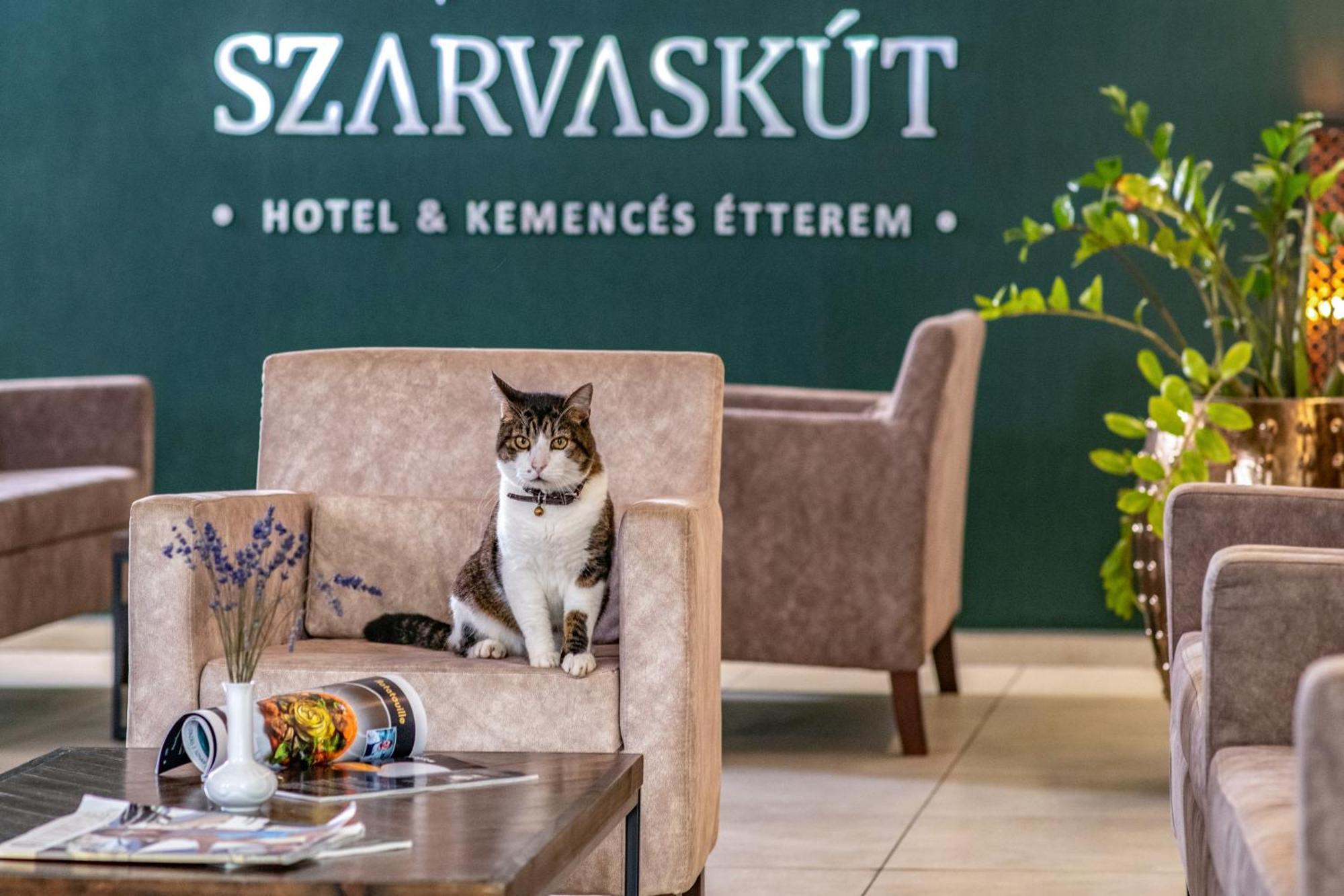 Szarvaskut Hotel ซีร์ซ ภายนอก รูปภาพ